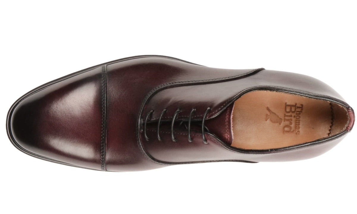 ToBoot cap toe oxfords APOLLO Cap-Toe Oxfords – Carets main image 2