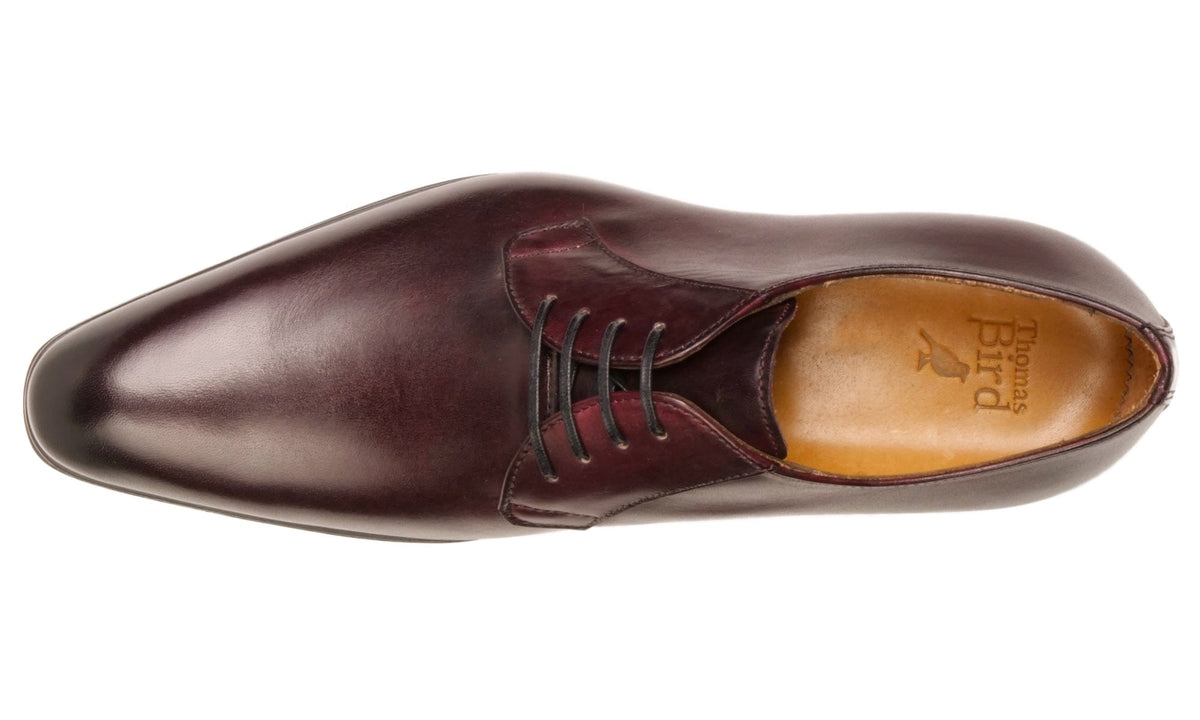 Thomas Bird: Buckingham Derby Blucher - Black Blucher Derby Chestnut Brown | Thomas Bird | tblon.com main image 3
