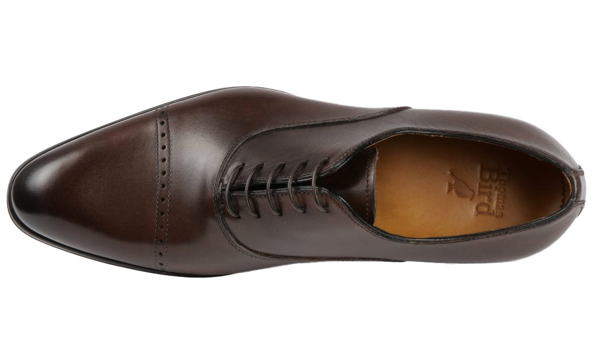 Cap Toe Oxford Dark Brown | Thomas Bird | tblon.com Cap Toe Oxford Dark Brown | Thomas Bird | tblon.com