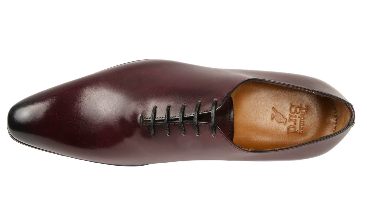 Wholecut Oxford Oxblood | Thomas Bird | tblon.com
