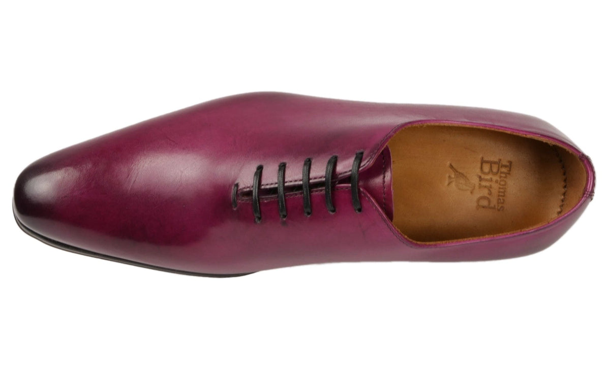 Wholecut Oxford Plum | Thomas Bird | tblon.com display picture 1