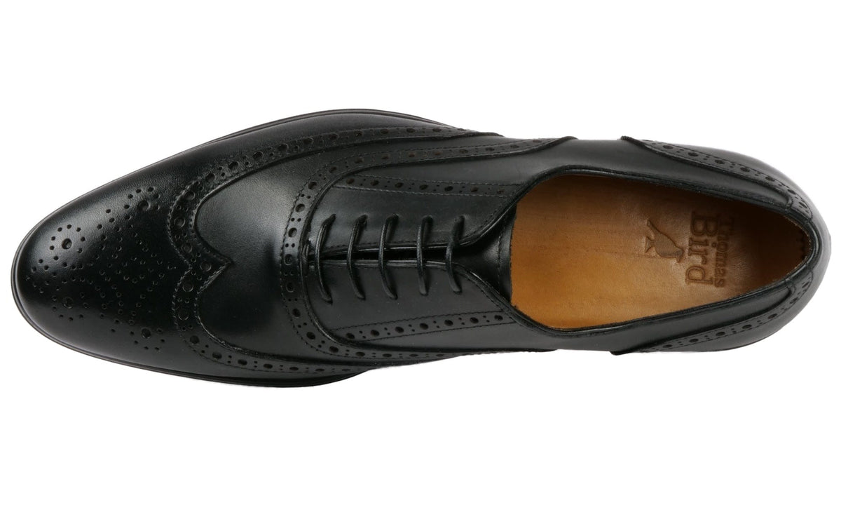 Wingtip Oxford Brogue Black Thomas Bird