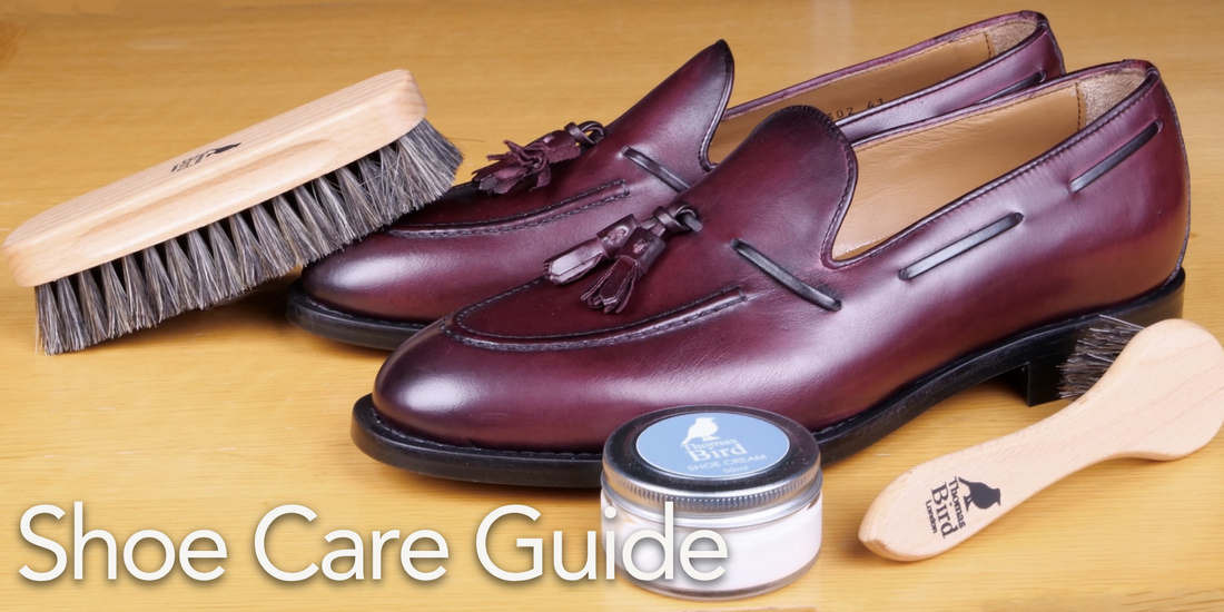 Shoe Care Guide