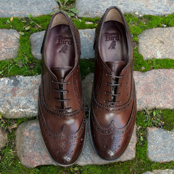 Siena Wingtip Oxford Brogue Brown