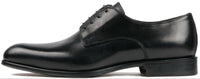 Brighton Derby Black