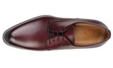 Brighton Derby Oxblood