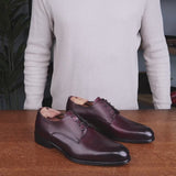 Brighton Derby Oxblood