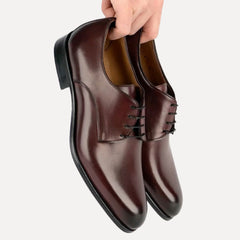 Brighton Derby Oxblood