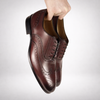 Cambridge Wingtip Oxford Brogue Oxblood