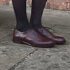 Siena Wingtip Oxford Brogue Brown