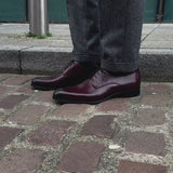 Brighton Derby Oxblood