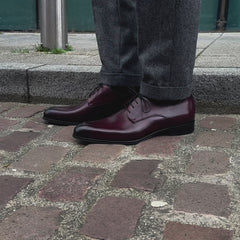 Brighton Derby Oxblood