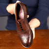 Siena Wingtip Oxford Brogue Brown