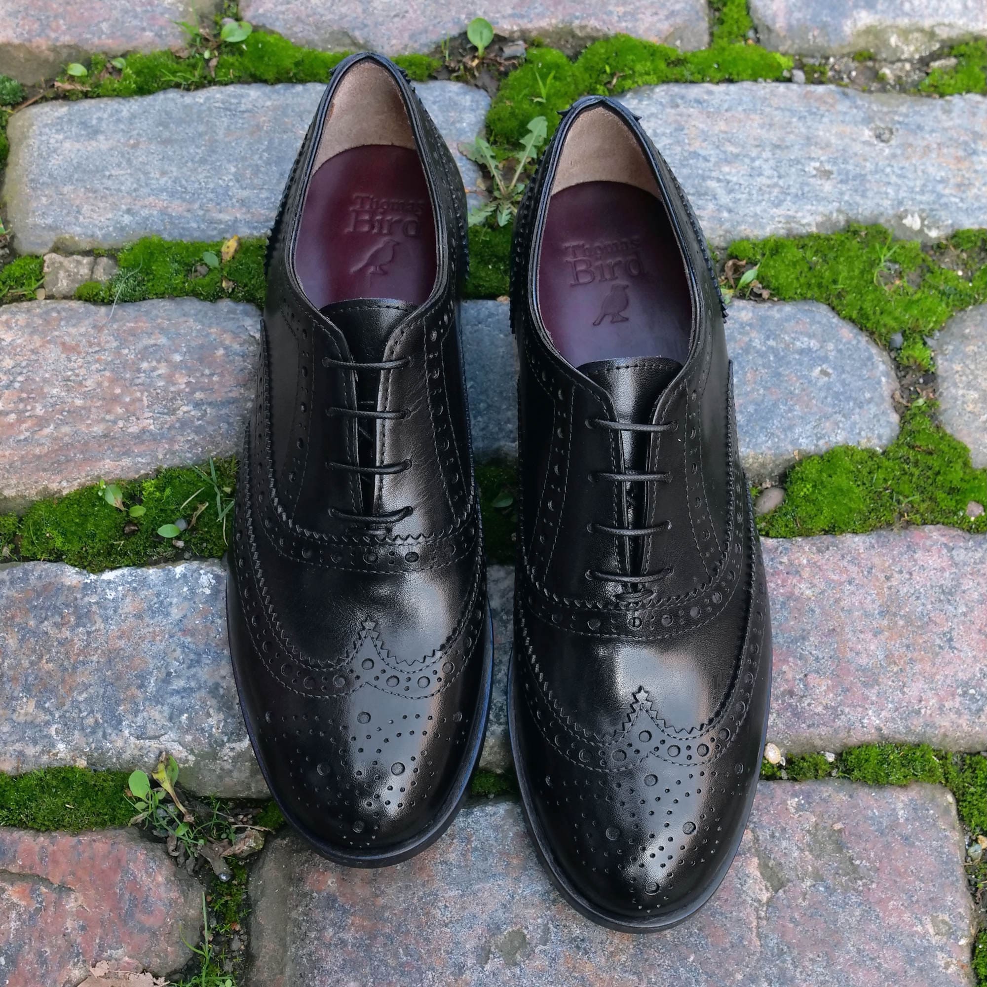 Illustration of Contemporary Black Wingtip Brogues With Refined Detailing