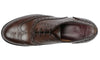 Siena Wingtip Oxford Brogue Brown