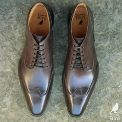 Newton Wingcap Chukka Boot - Brown