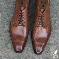 Newton Wingcap Chukka Boot - Tan