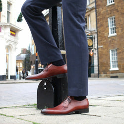Buckingham Derby Blucher Chestnut
