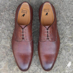 Marlow Snakeskin Derby - Brown