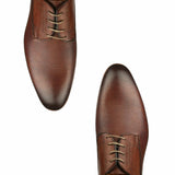 Marlow Snakeskin Derby - Brown