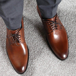 Weymouth Derby - Brown